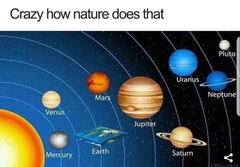 Flat earth- what’s your opinion??