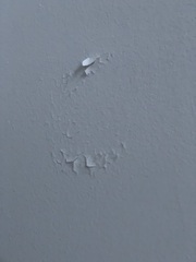 Help - DIY novice - peeling paint