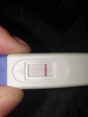 Coming off the pill to conceive
