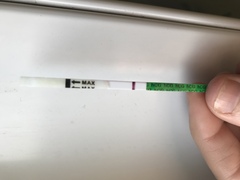 TTC after miscarriage - February 2020