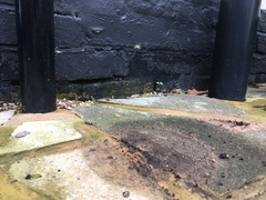 Damp is stopping me from getting my (long-dreamed-of) utility room!!!!