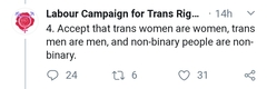 Labour Campaign for Trans Rights: A Feminist purge?