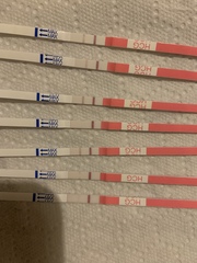 BFP in mornings, BFN in afternoon/evenings helppp!
