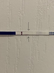 Positive or Evan line?