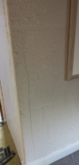 Opinions wanted on cracks in 1920's semi wall