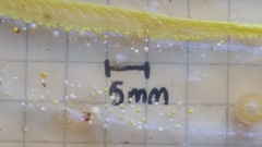 Anyone good at identifying germs on Agar plates?