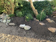 Can’t leave this soil like this right?
