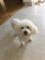 Show Us Your Pets!