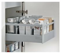 Pull/swing out larder or just shelves ?