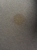 Dog stains on carpet