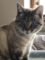 Show Us Your Pets!