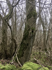 Any Witches Here? Part 10.