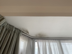 Condensation and mould in 1930s semi
