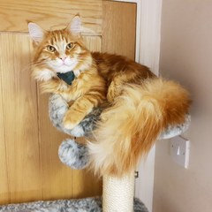 I've come here to cheer mumsnet up!