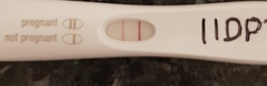 TWW Jan/Feb 2020