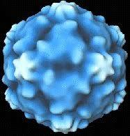 to not know the difference between flu and a cold!