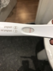 7-8dpo
