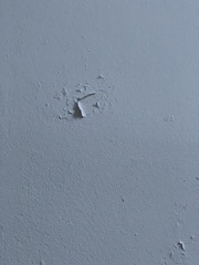 Help - DIY novice - peeling paint