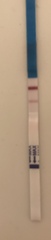 Does this look like a positive pregnancy test?