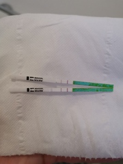 Is the bottom a positive ovulation test?