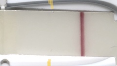 Bfp line faded after a few hours