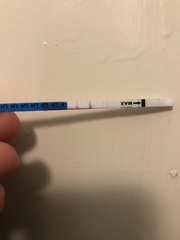 HCG and LH Surge?