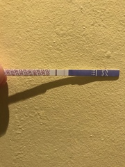 HCG and LH Surge?