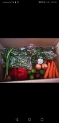Are hello fresh boxes/ recipes any good?