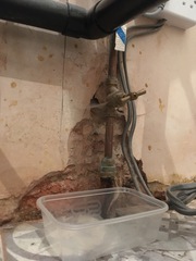 Damp is stopping me from getting my (long-dreamed-of) utility room!!!!