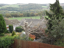 What's the view from your bedroom window?
