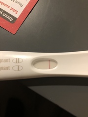 Anyone looking to start TTC in New Year?