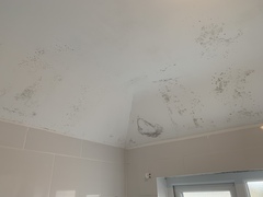 Condensation and mould in 1930s semi