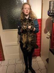 Cat chat - The Ollie and Paws show, with extra Little K drama