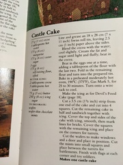 1980’s chocolate button hedgehog cake
