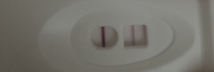 Ovulation tests