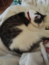 Frugal Friends Finding Financial Freedom In February