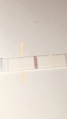 Bfp line faded after a few hours