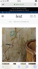 Chinoiserie walls in hallway