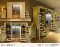 Pull/swing out larder or just shelves ?