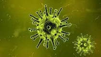AIBU to be a bit surprised that nobody in my RL seems to be bothered about coronavirus?