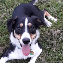 Show Us Your Pets!