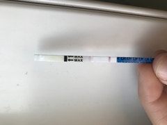 TTC after miscarriage - February 2020