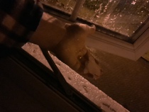 Storm Dennis thread - forecasts and reports