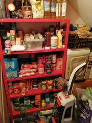 Prepping for a pandemic...7