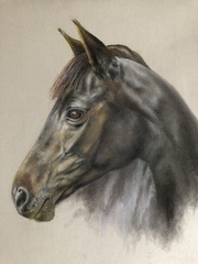 Daisies - is this ‘commercial’ enough to sell?