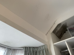 Condensation and mould in 1930s semi