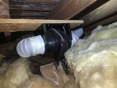 Condensation and mould in 1930s semi