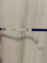 Positive or Evan line?
