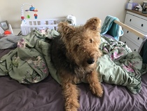 Show Us Your Pets!