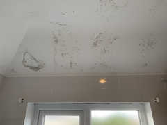 Condensation and mould in 1930s semi